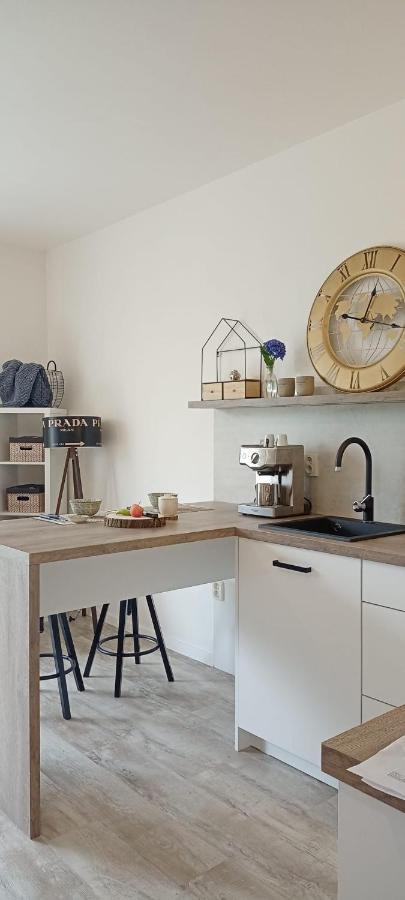 Apartman Dvojka Náchod エクステリア 写真