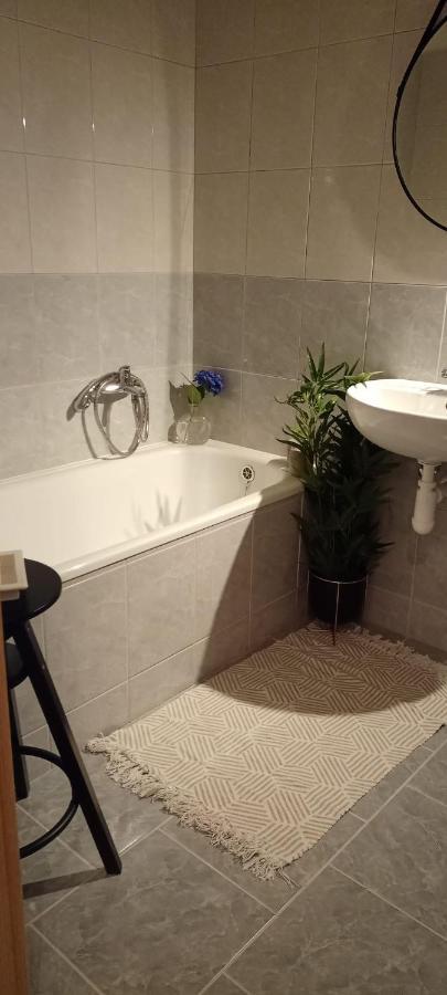 Apartman Dvojka Náchod エクステリア 写真